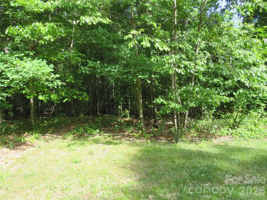 0 S Woodleaf Road, Forest City, NC 28043 - #3