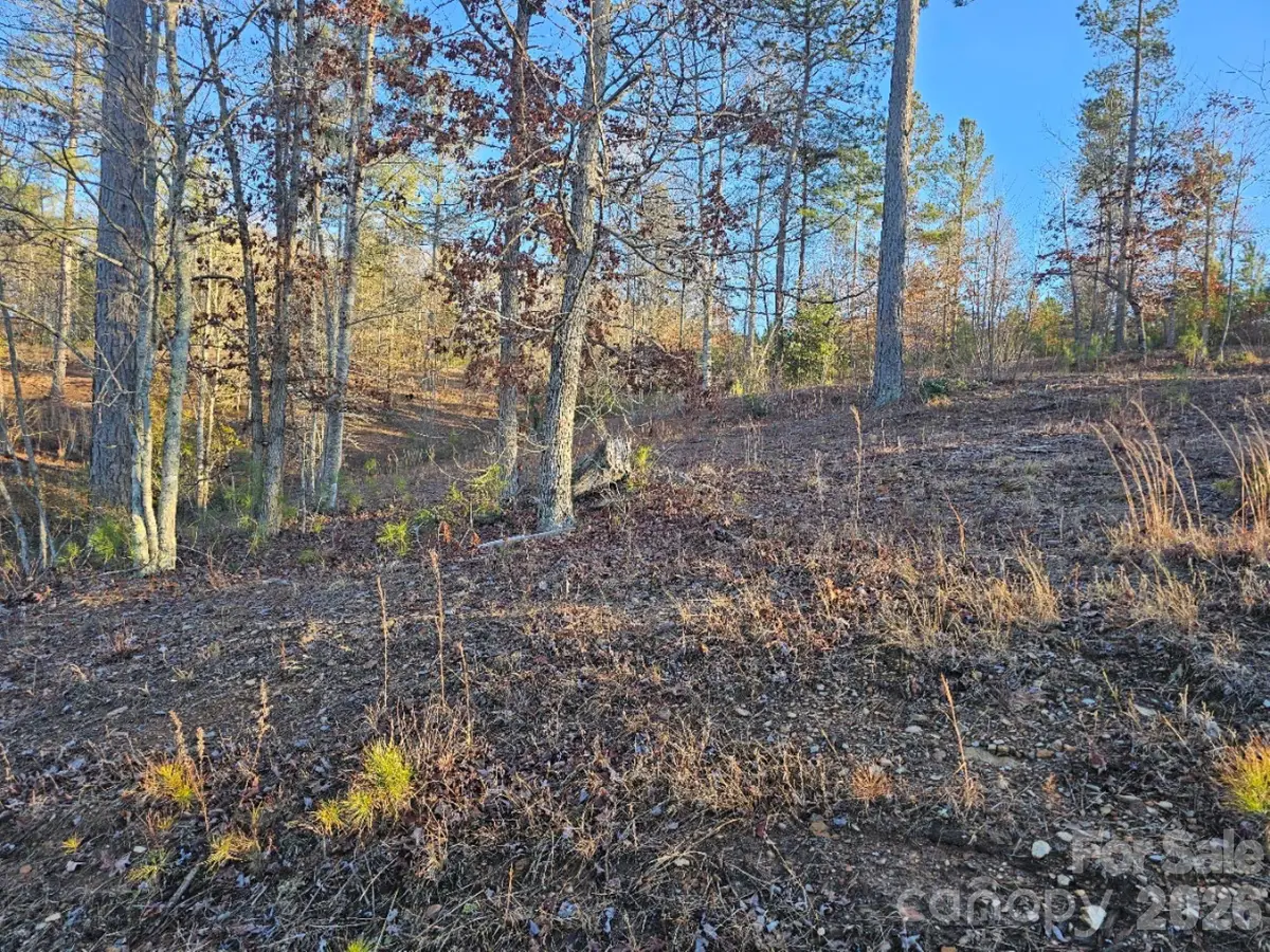 2167 Inlet Shore Road Ne, Connelly Springs, NC 28612 - #1