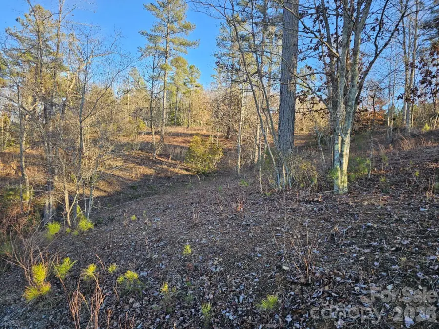 2167 Inlet Shore Road Ne, Connelly Springs, NC 28612 - #3