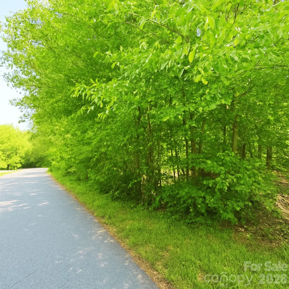1243 Beechwood Drive, Newton, NC 28658 - #1