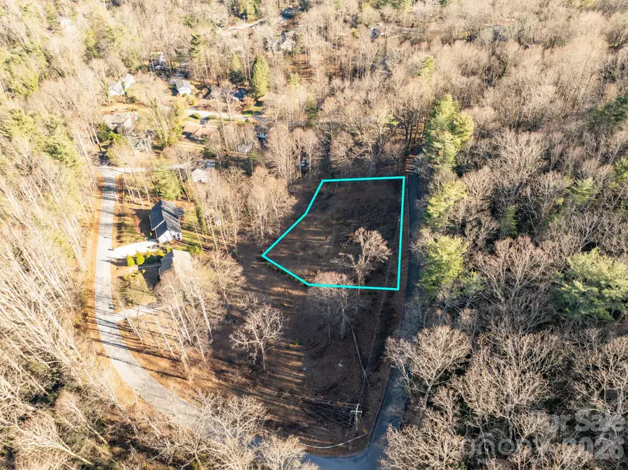000 Davis Mountain Road, Laurel Park, NC 28739 - #3