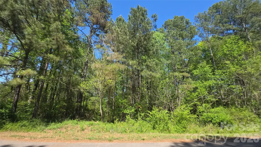 6128 Plantation Pointe Drive #70, Granite Falls, NC 28630 - #2