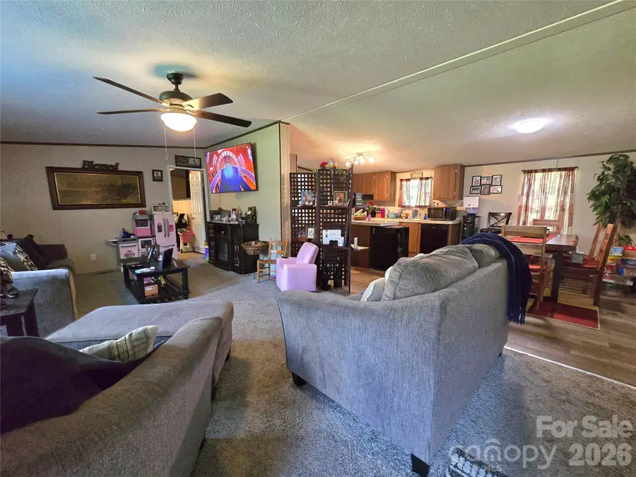 221 Turkey Pen Gap Road, Horse Shoe, NC 28742 - #3