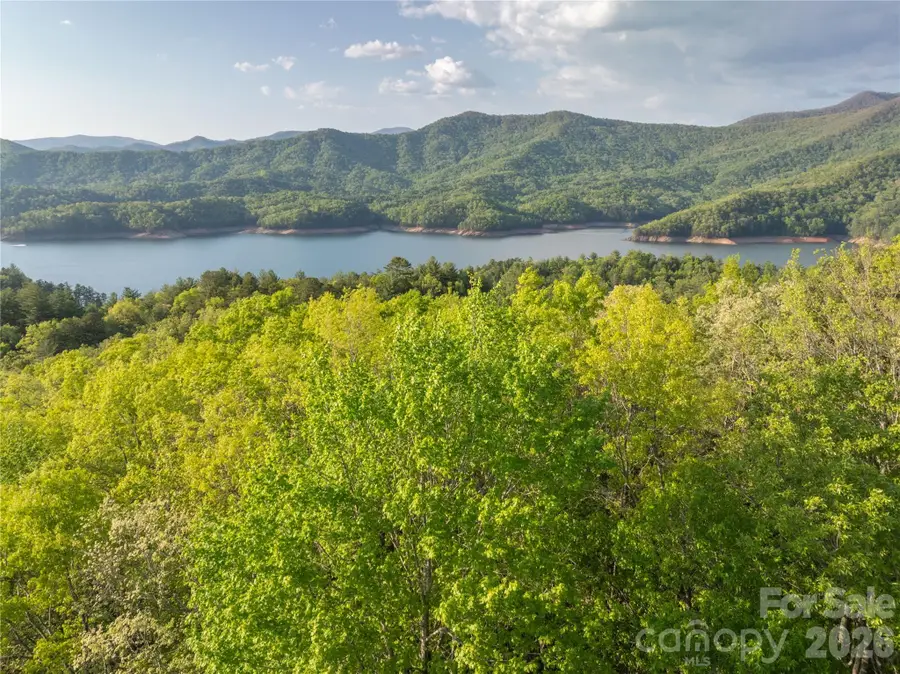 000 Howard Edwards Road, Robbinsville, NC 28771 - #3