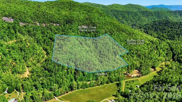 0 Buffalo Cove Road, Lenoir, NC 28645