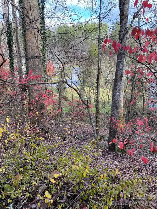 000 Waterford Place, Brevard, NC 28712
