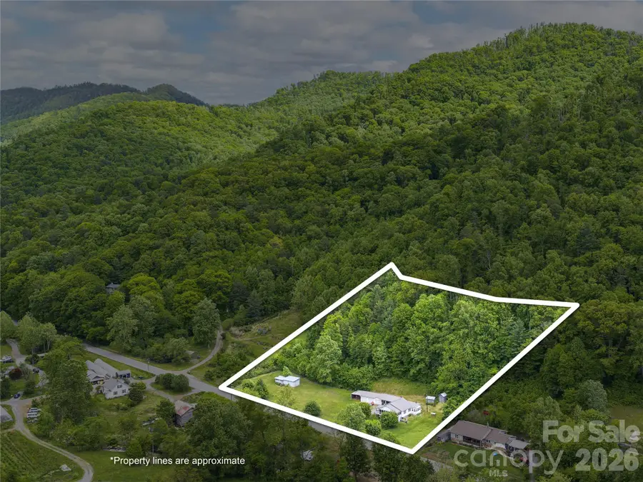 379 N Fork Road, Barnardsville, NC 28709 - #2