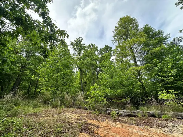 99999 Bird Creek Estates Road, Black Mountain, NC 28711