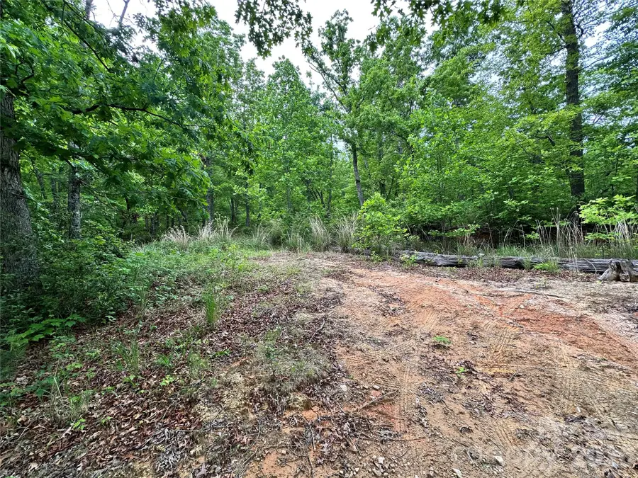 99999 Bird Creek Estates Road, Black Mountain, NC 28711 - #2