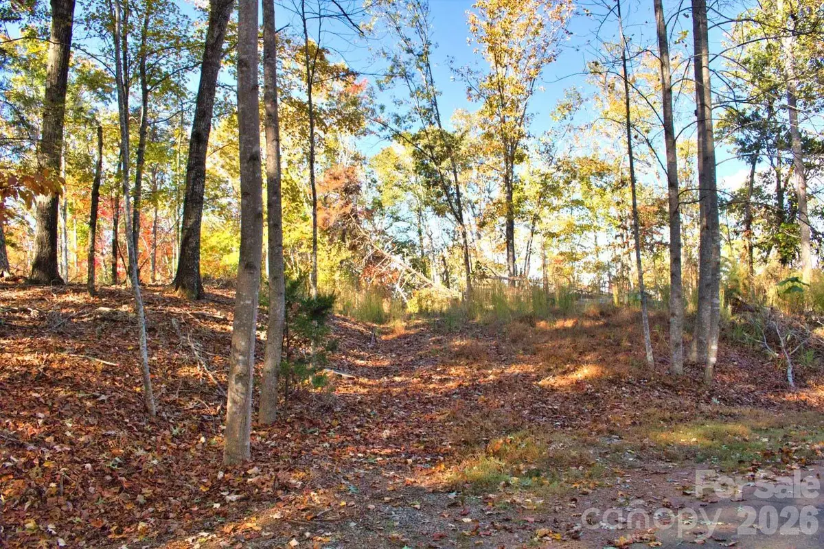 0 Wilderness Ridge #15, Rutherfordton, NC 28139 - #1