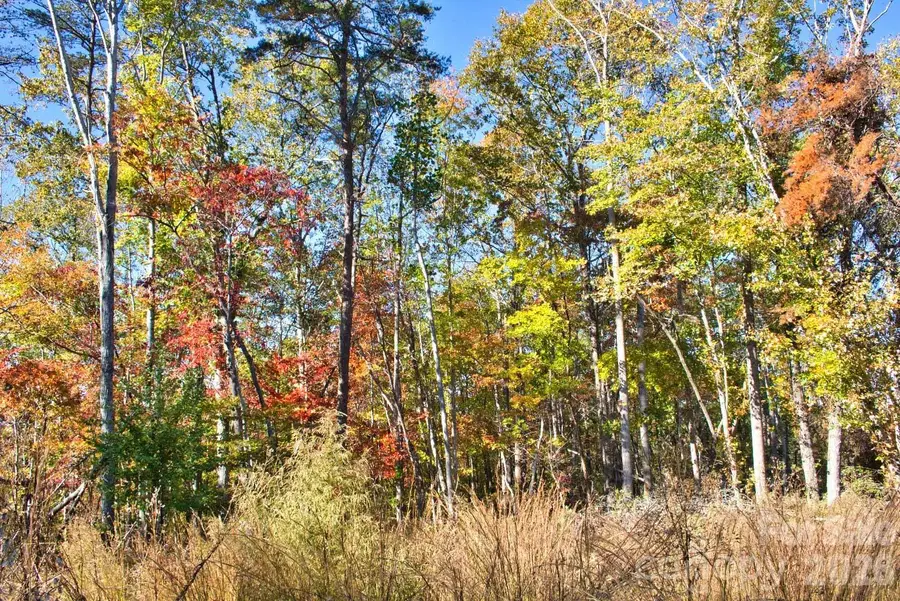 0 Wilderness Ridge #15, Rutherfordton, NC 28139 - #2