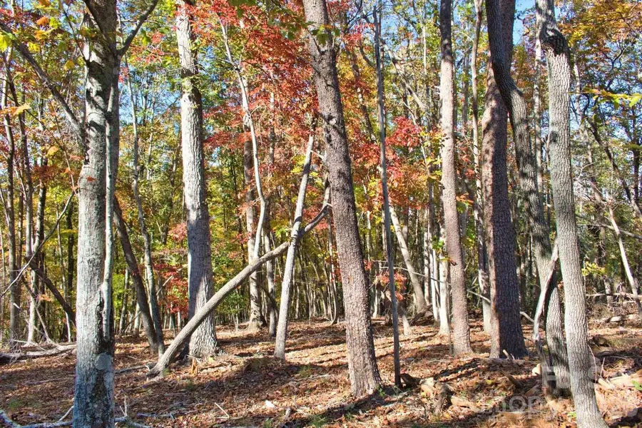 0 Wilderness Ridge #15, Rutherfordton, NC 28139 - #3