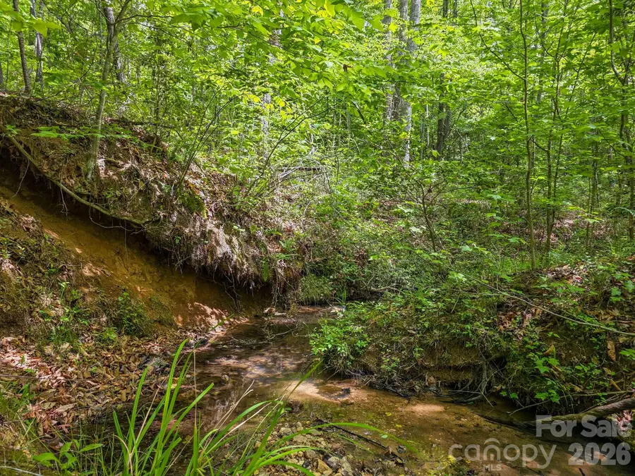 0 Romey Campbell Road, Ellenboro, NC 28040 - #2
