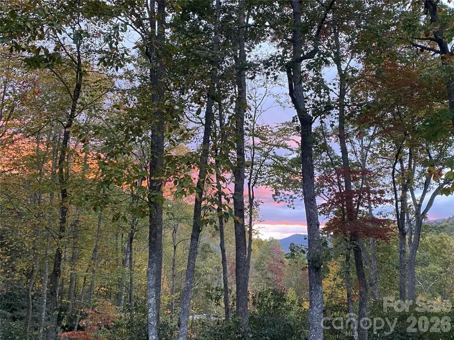 102 Carriage Drive, Fairview, NC 28730 - #3