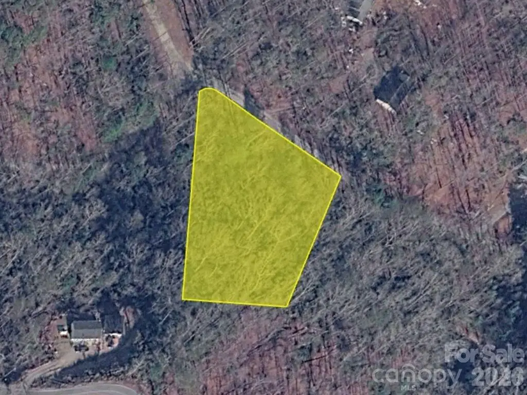 0 Bishop Lane, Mill Spring, NC 28756 - #1