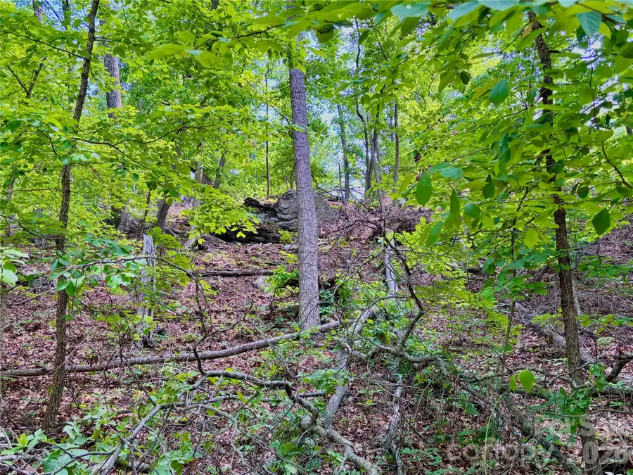 350 Springvalley Drive, Rutherfordton, NC 28139 - #3