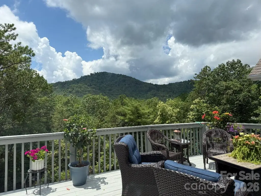 36 Lynx Drive, Black Mountain, NC 28711 - #1