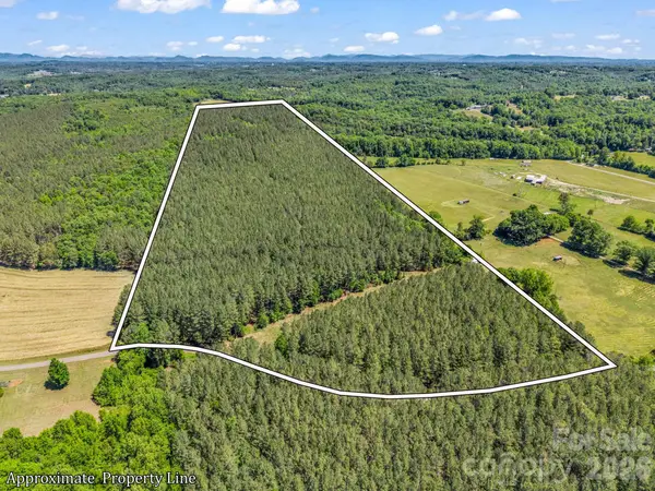 0 Jim Dobbins Road, Rutherfordton, NC 28139