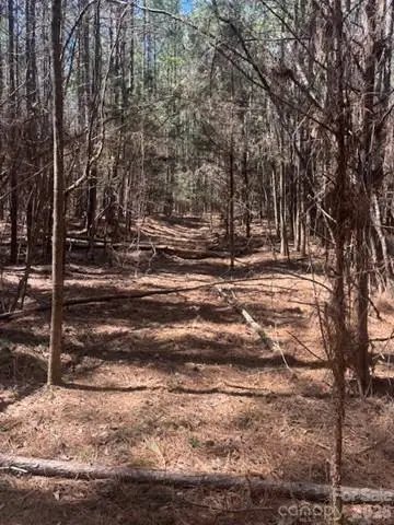312 Pine Grove Road, Blythewood, SC 29016
