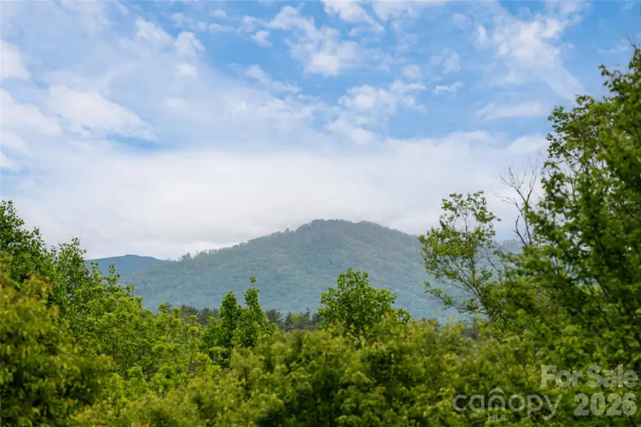 56 Donna Lane, Alexander, NC 28701 - #2