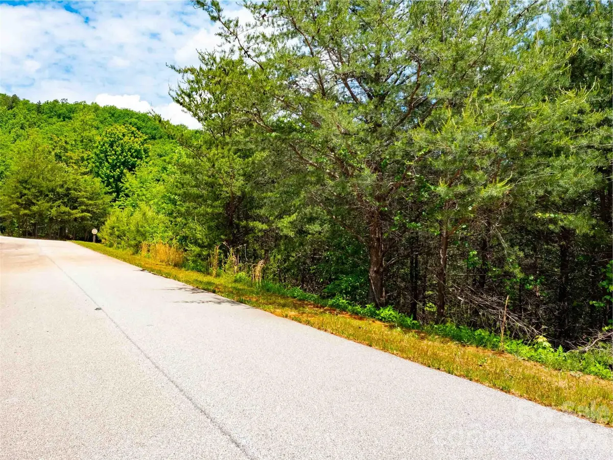 LOT 150 Birkdale Drive, Mill Spring, NC 28756 - #1