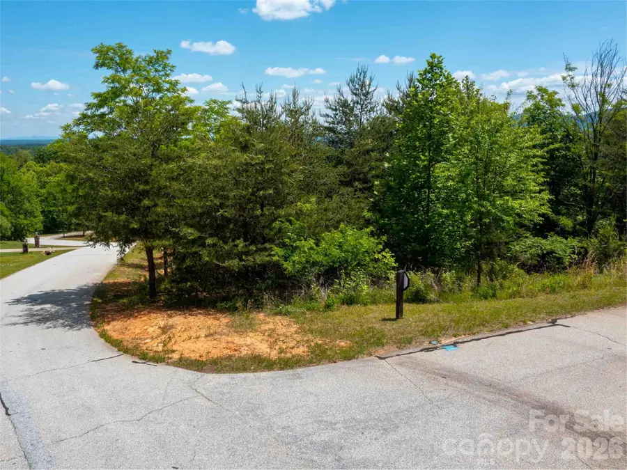 LOT 150 Birkdale Drive, Mill Spring, NC 28756 - #2