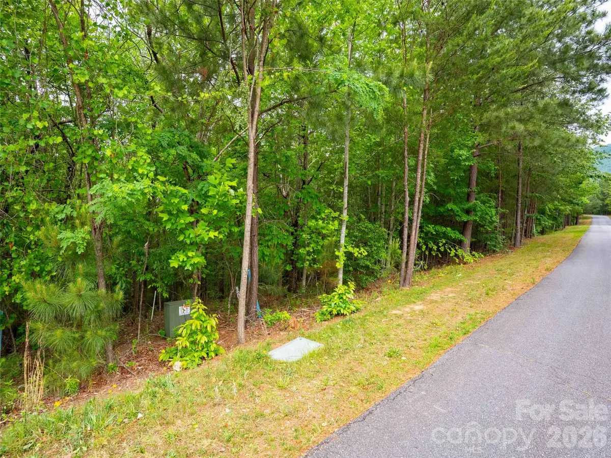 LOT 2009 Deep Gap Farm Road W, Mill Spring, NC 28756 - #1