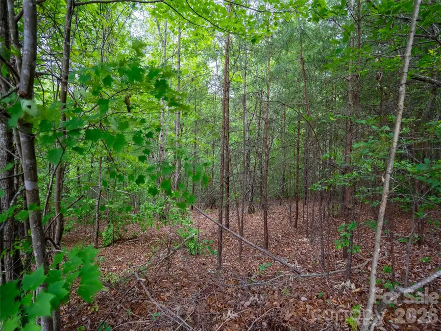 LOT 2009 Deep Gap Farm Road W, Mill Spring, NC 28756 - #2