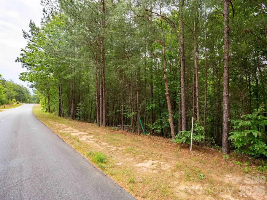 LOT 2009 Deep Gap Farm Road W, Mill Spring, NC 28756 - #3