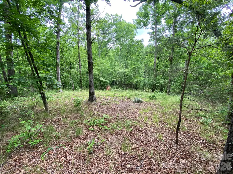 00 Kiser Road, Bostic, NC 28018 - #2