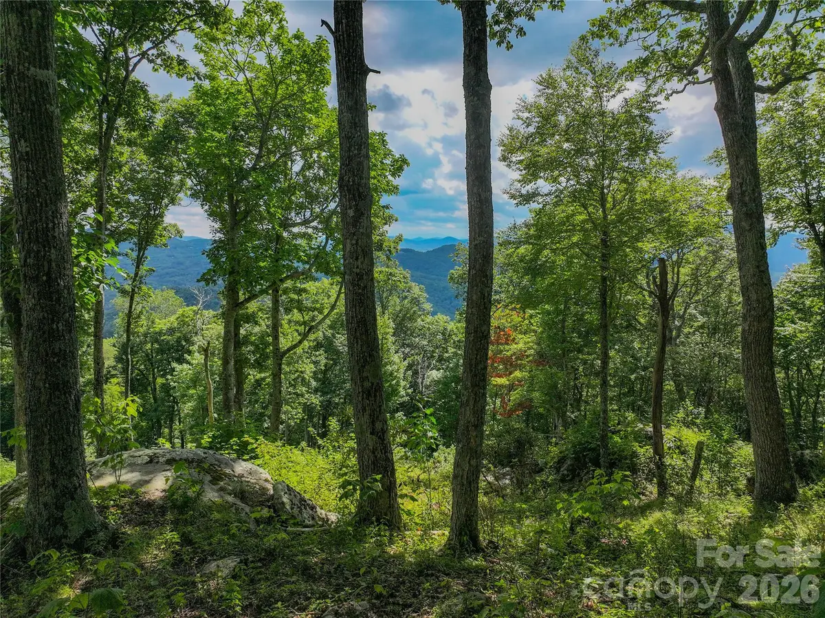 G30 Lodge Woods Trail, Banner Elk, NC 28604 - #1