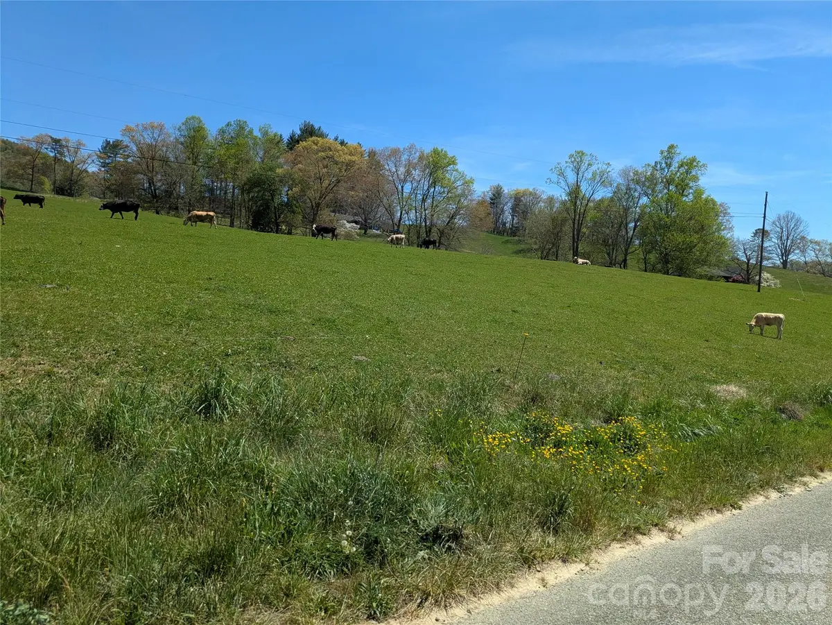 TBD Glance Cove Road, Clyde, NC 28721 - #1