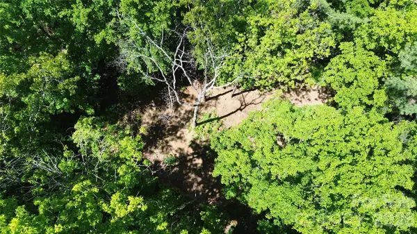 99999 Pink Fox Cove Road, Weaverville, NC 28787