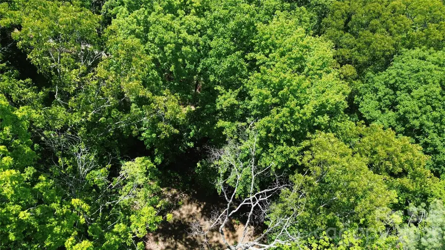 99999 Pink Fox Cove Road, Weaverville, NC 28787 - #2