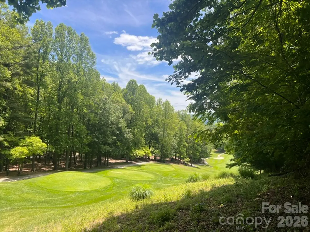 115 Bobby Jones Drive #45, Hendersonville, NC 28739 - #1
