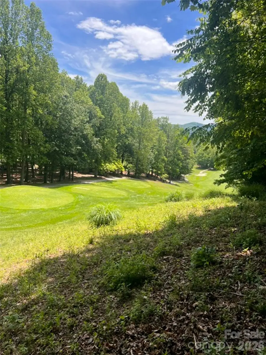 115 Bobby Jones Drive #45, Hendersonville, NC 28739 - #2