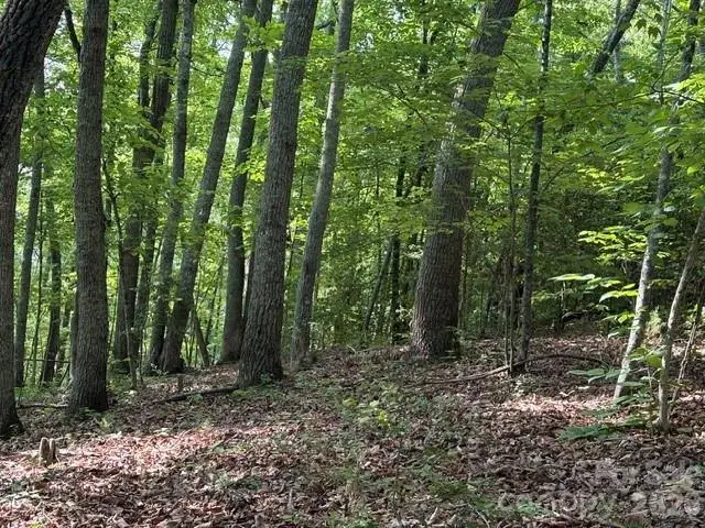 000 Gettys Road, Ellenboro, NC 28040 - #1