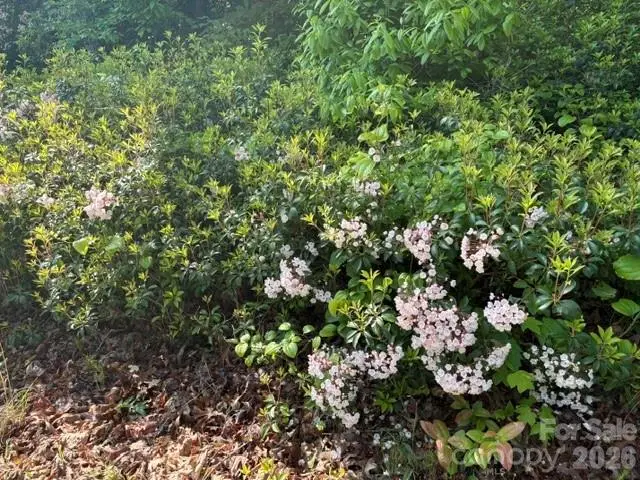 000 Gettys Road, Ellenboro, NC 28040 - #3