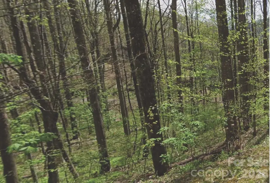 000 Heather Way, Waynesville, NC 28786 - #2