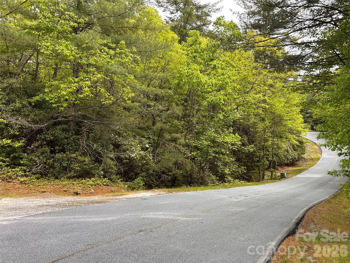 1054 Hawk Mountain Road, Lake Toxaway, NC 28747 - #1