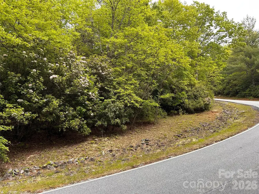 1054 Hawk Mountain Road, Lake Toxaway, NC 28747 - #2