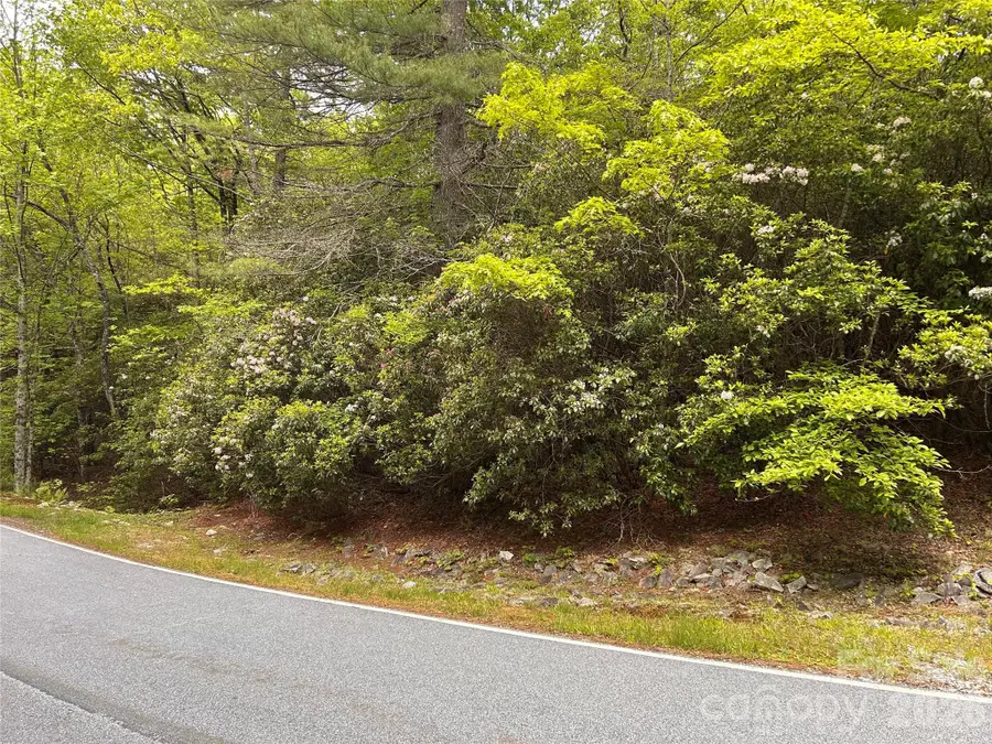 1054 Hawk Mountain Road, Lake Toxaway, NC 28747 - #3