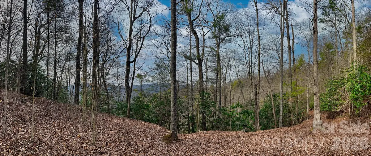 Lot 127 Bear River Lodge Trail, Marshall, NC 28753 - #1