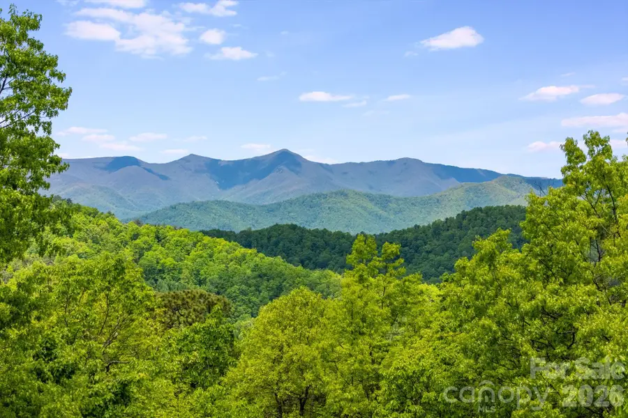 1659 High Rock Acres Drive, Black Mountain, NC 28711 - #2