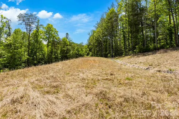 151 Riverbend Forest Drive, Asheville, NC 28805