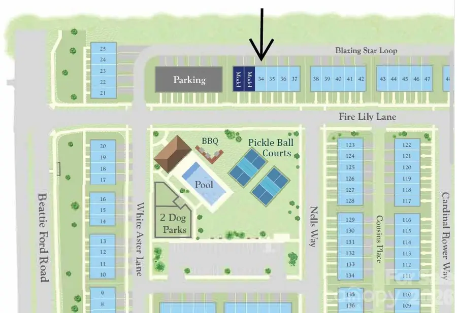 6539 Fire Lily Lane, Charlotte, NC 28216 - #2