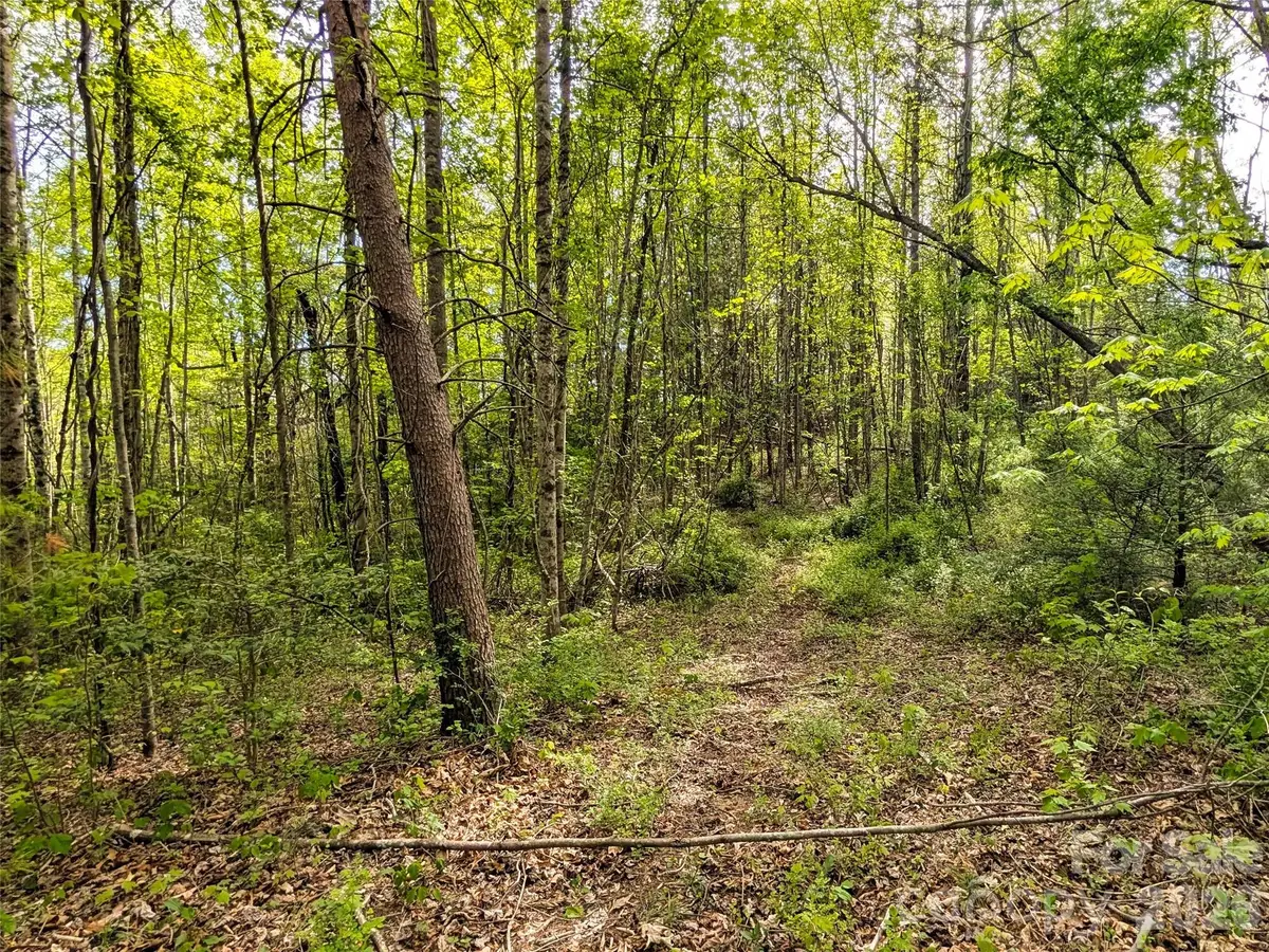 99999 Weldon Way, Fairview, NC 28730 - #1