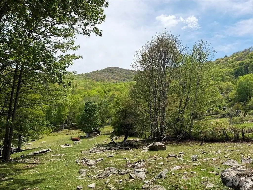 tbd Spice Creek Road, Banner Elk, NC 28604 - #1