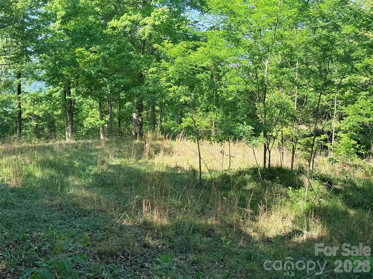 Lot 8 High Rock Ridge, Lake Lure, NC 28746 - #1