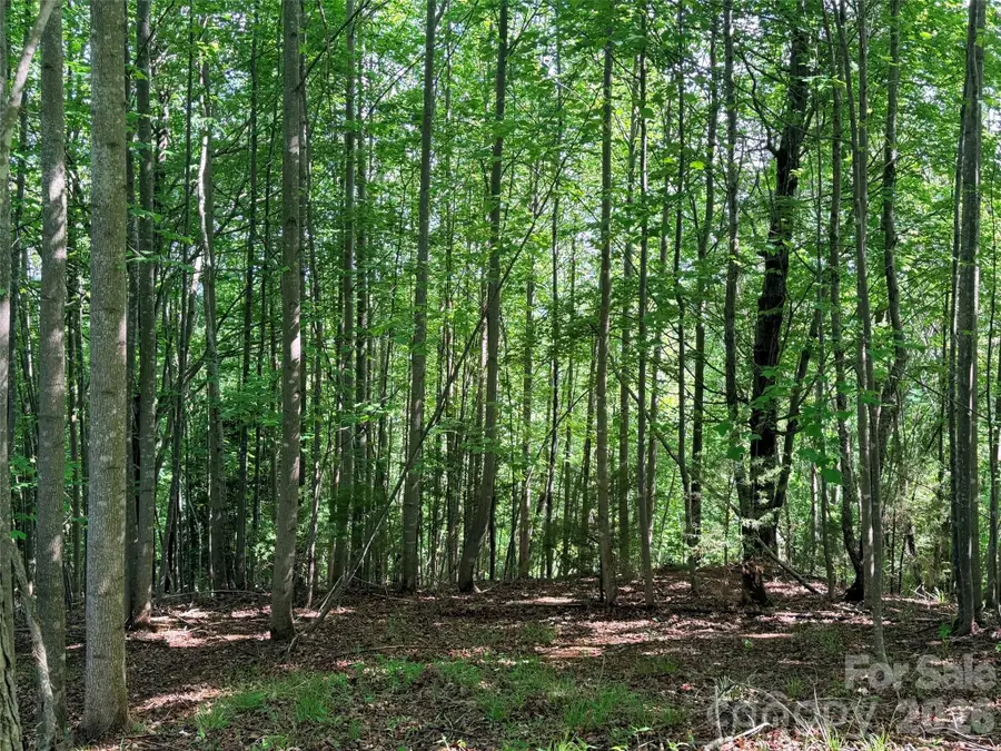 Lot 8 High Rock Ridge, Lake Lure, NC 28746 - #3